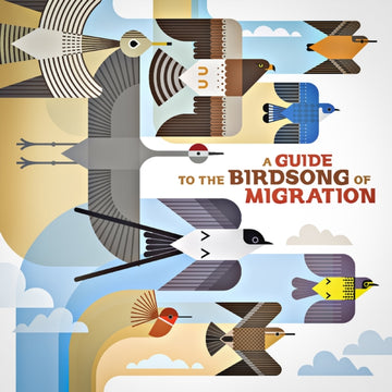 GUIDE TO THE BIRDSONG OF MIGRATION | VINYL RECORD (LP)