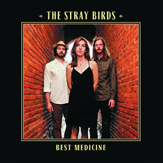 STRAY BIRDS | BEST MEDICINE | VINYL RECORD (LP)