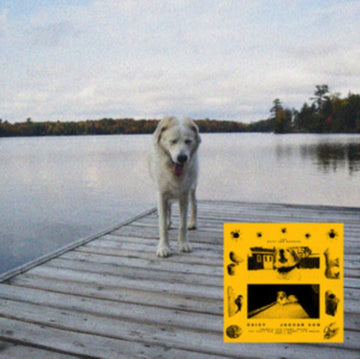 DAISY (BLACK & YELLOW SWIRL VINYL) | VINYL RECORD (LP)