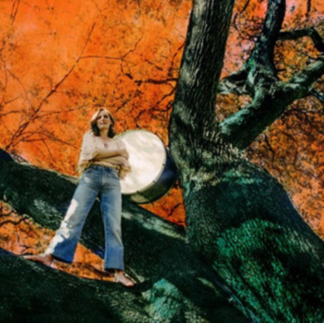 MERRITT, TIFT | STITCH OF THE WORLD | VINYL RECORD (LP)