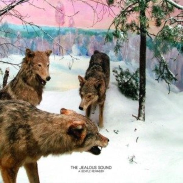 JEALOUS SOUND | GENTLE REMINDER | VINYL RECORD (LP)