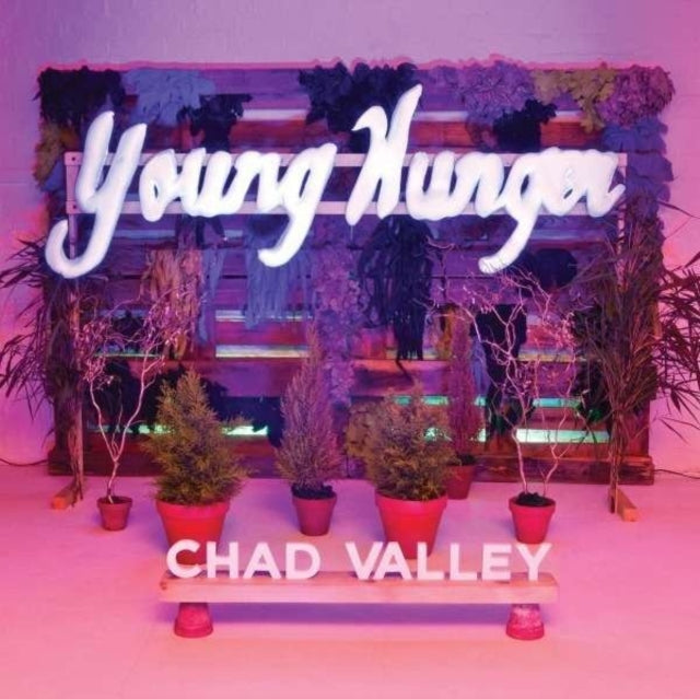 VALLEY, CHAD | YOUNG HUNGER | VINYL RECORD (LP)