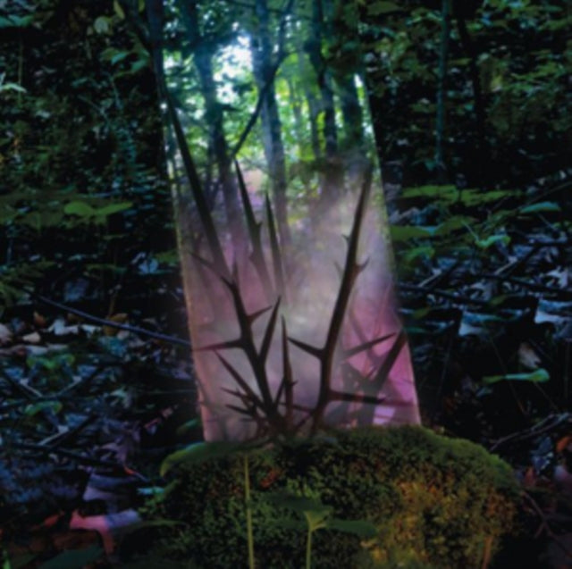 JENSEN SPORTAG | STEALTH OF DAYS | VINYL RECORD (LP)