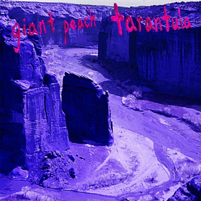 GIANT PEACH | TARANTULA | VINYL RECORD (LP)