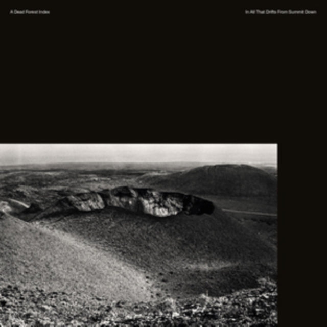 DEAD FOREST INDEX | IN ALL THAT DRIFTS FROM SUMMIT DOWN | VINYL RECORD (LP)