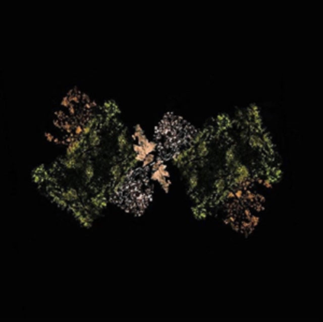 WOODSMAN | WOODSMAN | VINYL RECORD (LP)