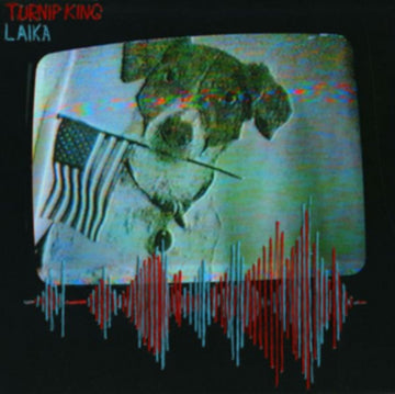 TURNIP KING | LAIKA | VINYL RECORD (LP)