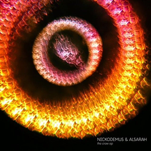 NICKODEMUS & ALSARAH | CROW | 12IN VINYL