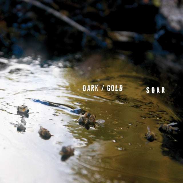 SOAR | DARK/GOLD | MUSIC CASSETTE