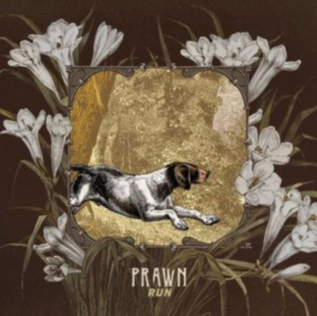 PRAWN | RUN | VINYL RECORD (LP)