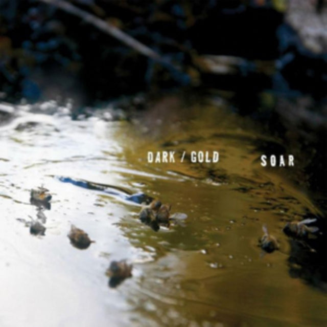 SOAR | DARK / GOLD (DL CARD) | VINYL RECORD (LP)