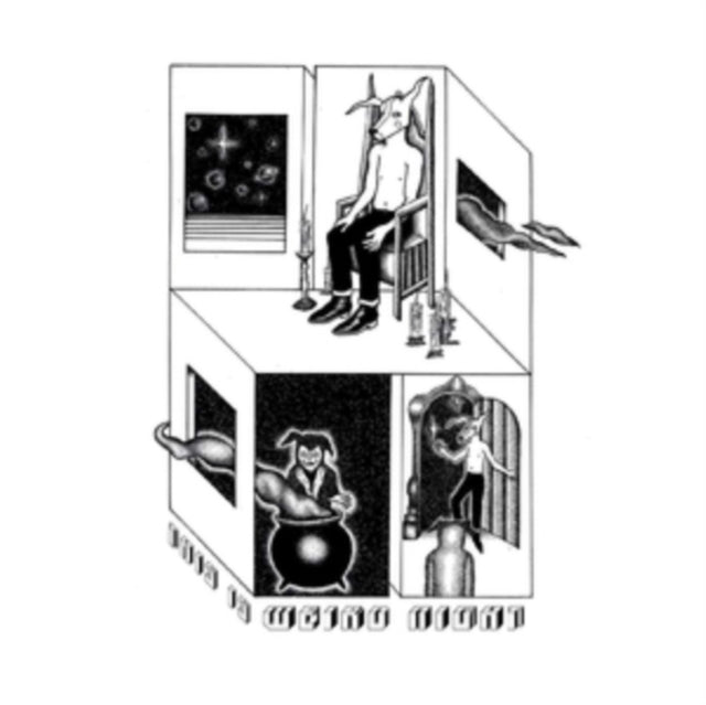 WEIRD NIGHT | THIS IS WEIRD NIGHT | VINYL RECORD (LP)