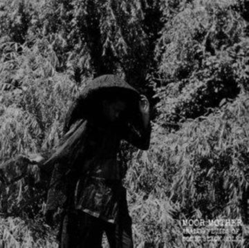 ANALOG FLUIDS OF SONIC BLACK HOLES | VINYL RECORD (LP)