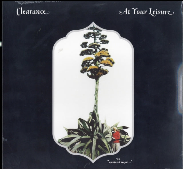 CLEARANCE | AT YOUR LEISURE | VINYL RECORD (LP)