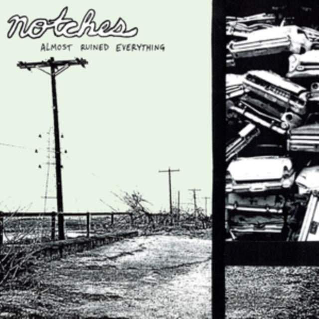 NOTCHES | ALMOST RUINED EVERYTHING (DL CARD) | VINYL RECORD (LP)