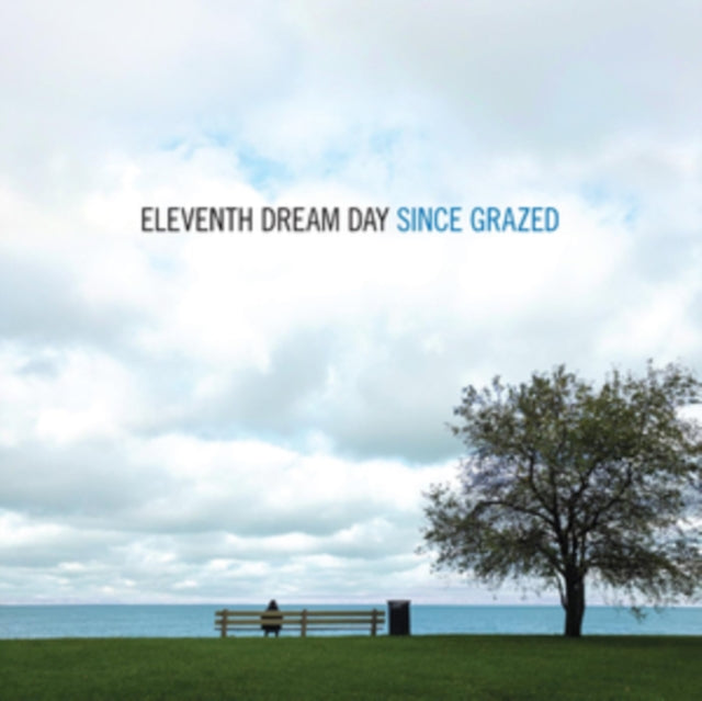ELEVENTH DREAM DAY | SINCE GRAZED (2LP/DL CARD) | VINYL RECORD (LP)