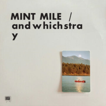 ANDWHICHSTRAY | VINYL RECORD (LP)