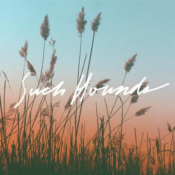 SUCH HOUNDS | I HATE SUMMER | VINYL RECORD (LP)