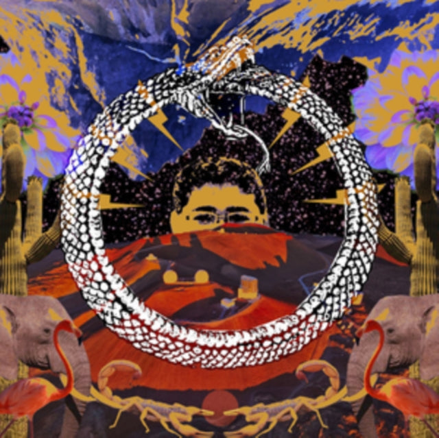 STONE HOUSE ON FIRE | NEVERENDING CYCLE | VINYL RECORD (LP)