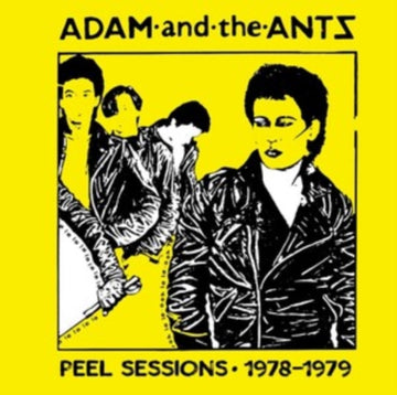 PEEL SESSIONS 1978-1979 | VINYL RECORD (LP)