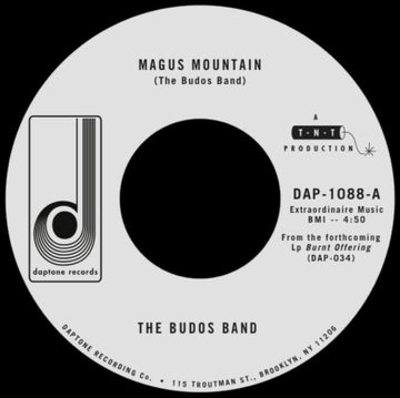 MAGUS MOUNTAIN / VERTIGO | 7IN VINYL