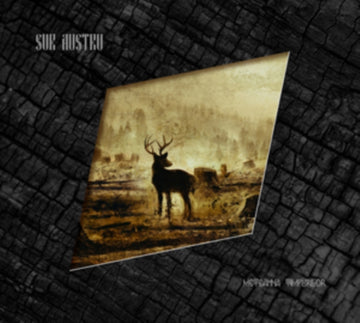 METEAHNA TIMPURILOR | VINYL RECORD (LP)