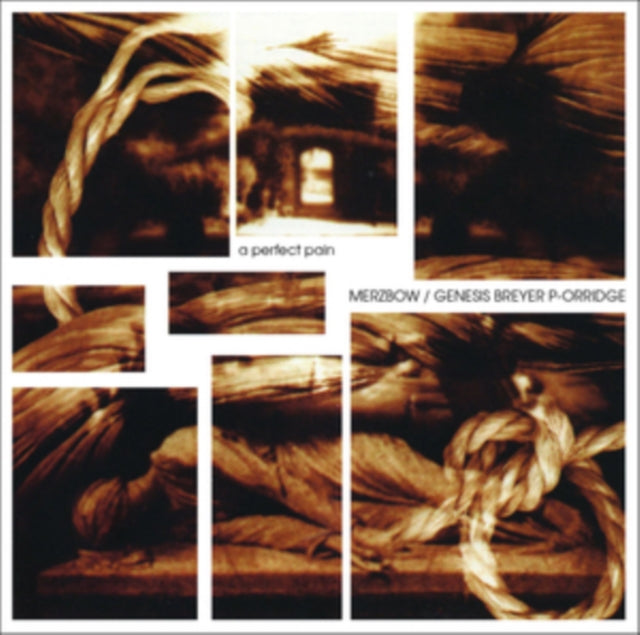 MERZBOW / GENESIS BREYER P-ORRIDGE | PERFECT PAIN | VINYL RECORD (LP)