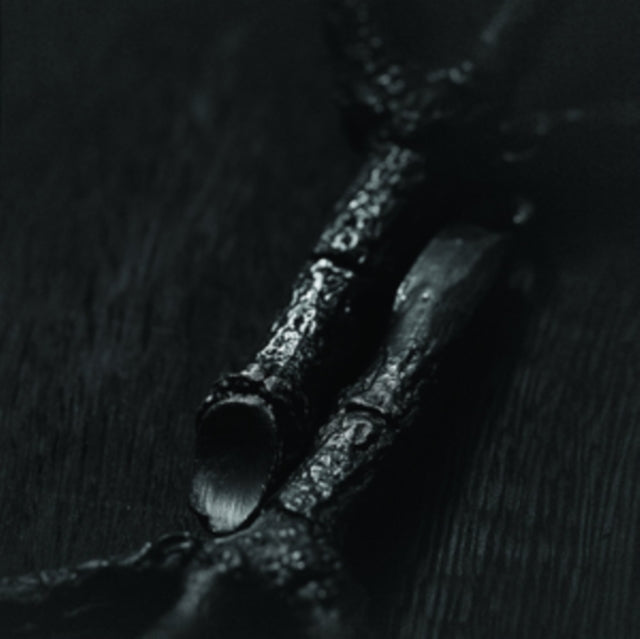 TREPANERINGSRITUALEN | ALGIR; ELLER ALGIR I MERKSTAVE | VINYL RECORD (LP)