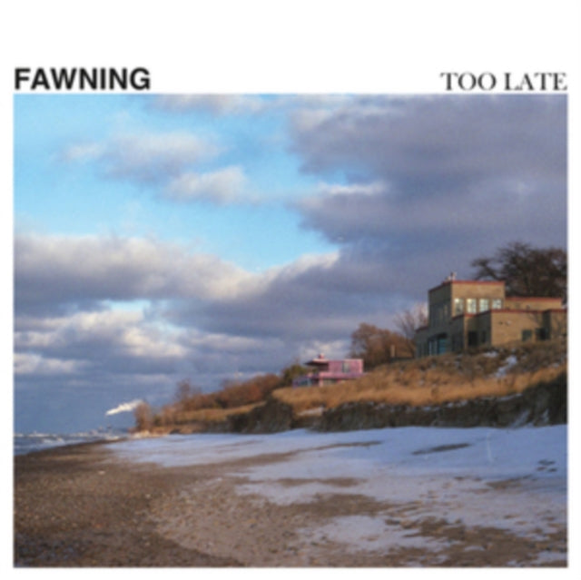 FAWNING | TOO LATE | VINYL RECORD (LP)