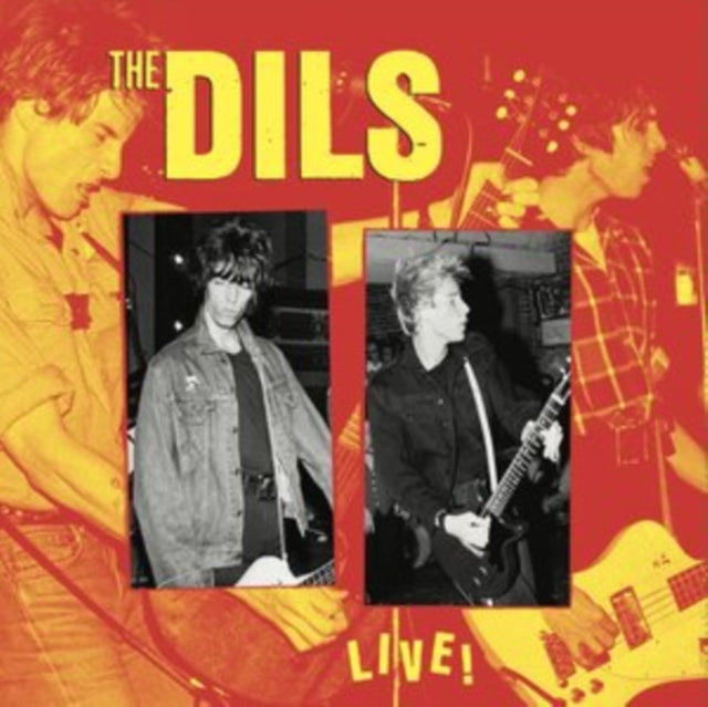 DILS | DILS LIVE! (LP/CD) | VINYL RECORD (LP)