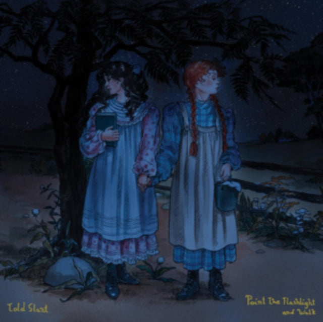 TOLD SLANT | POINT THE FLASHLIGHT & WALK (SEA BLUE VINYL/DL CARD) | VINYL RECORD (LP)