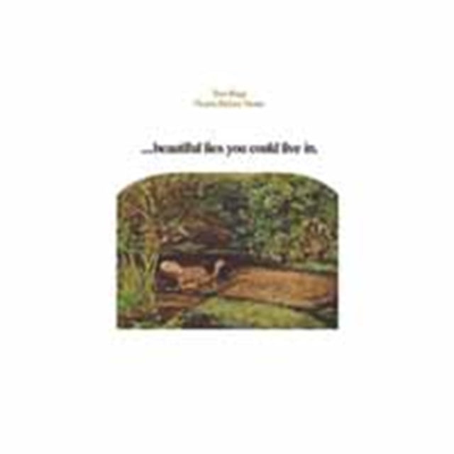 RAPP, TOM | BEAUTIFUL LIES YOU COULD LIVE IN | VINYL RECORD (LP)