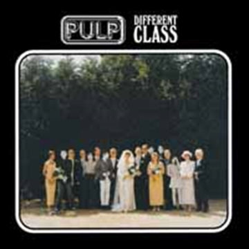 DIFFERENT CLASS | VINYL RECORD (LP)