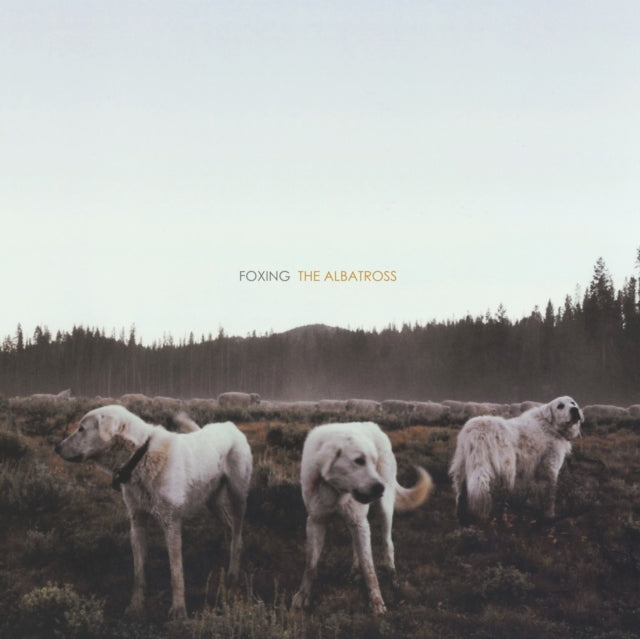 FOXING | ALBATROSS | VINYL RECORD (LP)