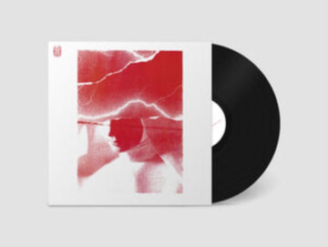 SIAMO TUTTI IN PERICOLO | VINYL RECORD (LP)