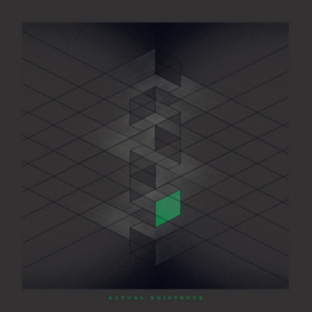 RLYR | ACTUAL EXISTENCE | VINYL RECORD (LP)