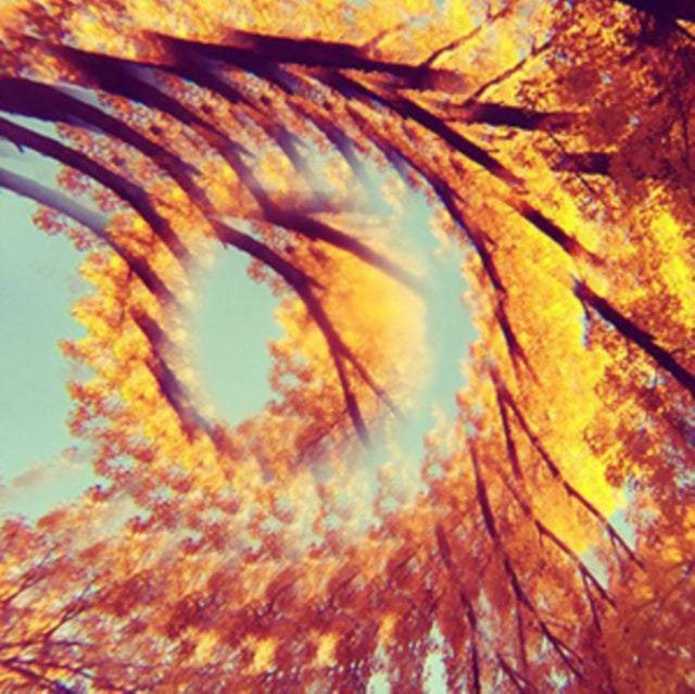 HAWK AND A HACKSAW | FOREST BATHING | VINYL RECORD (LP)