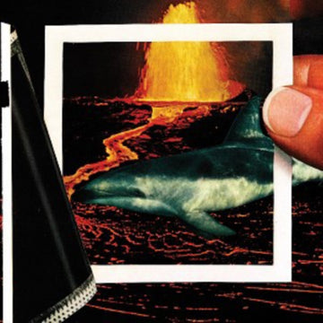 THERMALS | WE DISAPPEAR (INC DL CARD) | VINYL RECORD (LP)
