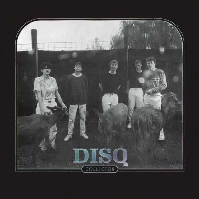 DISQ | COLLECTOR | VINYL RECORD (LP)