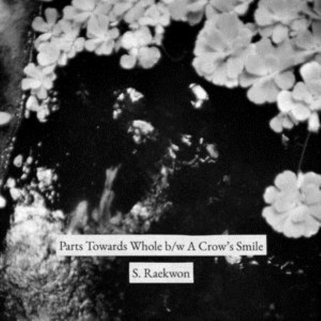 S. RAEKWON | PARTS TOWARDS WHOLE B/W A CROWâ€™S SMILE | 7IN VINYL