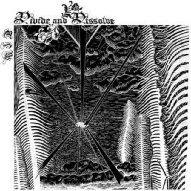 DIVIDE & DISSOLVE | TFW (DL CARD) | VINYL RECORD (LP)