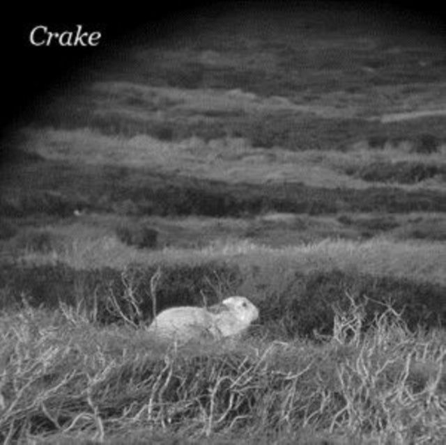 CRAKE | ENOUGH SALT (FOR ALL DOGS) B/W GEF (DL CARD) | 7IN VINYL