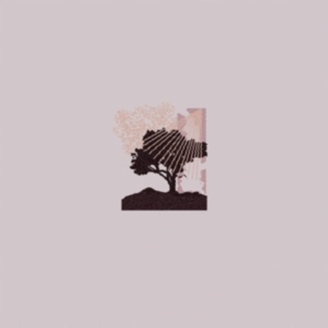 LAND OF TALK | PERFORMANCES (ECOMIX VINYL) | VINYL RECORD (LP)