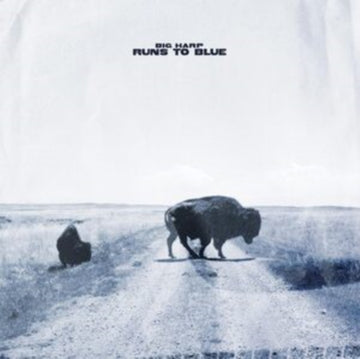 RUNS TO BLUE (OPAQUE BLUE VINYL) | VINYL RECORD (LP)