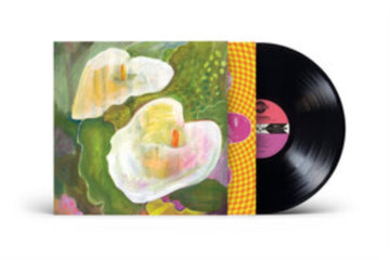 MAKING ROOM FOR THE LIGHT | VINYL RECORD (LP)