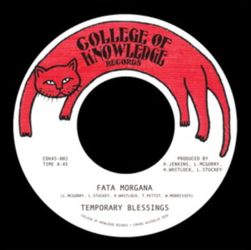 FATA MORGANA / SILENCE LEAVES AN OPEN WOUND | 7IN VINYL