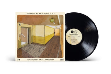 ACCESS ALL AREAS | VINYL RECORD (LP)