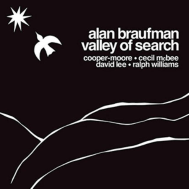 BRAUFMAN, ALAN | VALLEY OF SEARCH | VINYL RECORD (LP)