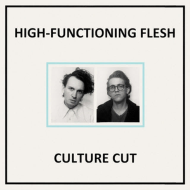 HIGH | FUNCTIONING FLESH | VINYL RECORD (LP)