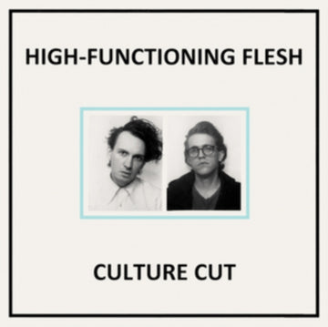 HIGH | FUNCTIONING FLESH | VINYL RECORD (LP)